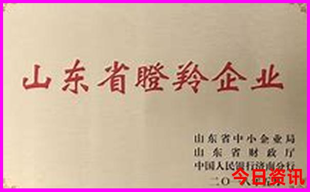 夏天不热的旅游城市